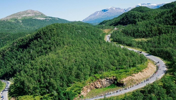Norway becomes first country in the world to commit to zero deforestation